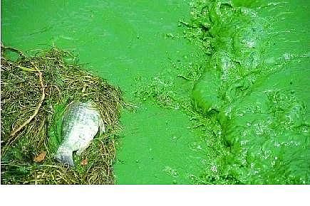 ˮ̎���������w�����������a�S������ˮ�ա���݋ˮ�c���׃��