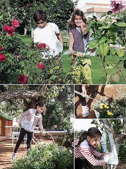 ˮ̎��ˎ�����a�S���w�����၆�F����ˮ�������˹�ˮ���OӋ���������@Щ