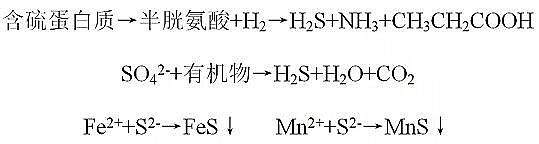 ��Դˮ̎��ˎ���Y���Ȼ��X���a�S�ҳ��кڳ�ˮ�w����Ⱦ�F�����������u�r�������������g�c����