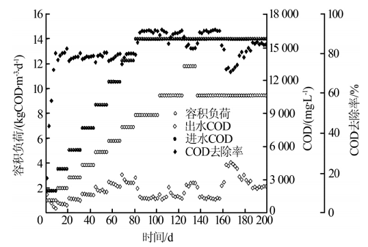 ��x�Ӷ�55��x�Ӿ۱�ϩ�������a�S��̎����������ˎ�Uˮ�������о�