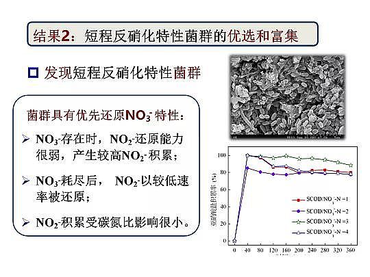 2020����w���ׄ��S����ˮÓ�������о������Mչ