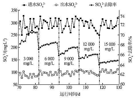 �h���ۺ��Ȼ��XPAC���a�S��IC����������̎�����}��ˎ�Uˮ���о�