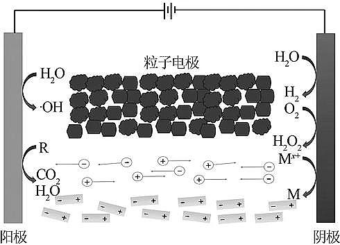 ��Ч���၆�F�S���о��Mչ|�y����Uˮ늴߻�̎�����g
