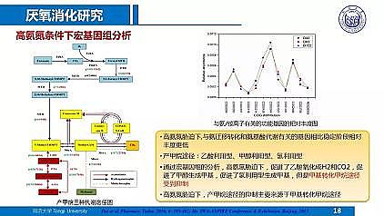 ��Ч�ۺ��Ȼ��X�FPAFC�S��������ˮ�S���|��Ч����̎��̎�ü��g����˼��