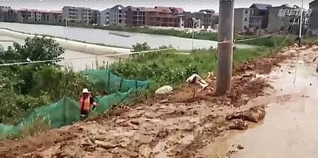 ��Ч���w�W(w��ng)���������a(ch��n)�S��۶�(y��ng)������漱!ȫ��(gu��)433�l�����l(f��)��������ˮ