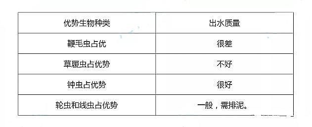 環保陽離子聚丙烯酰胺CPAM生產廠家活性污泥質量好壞的判斷標準!