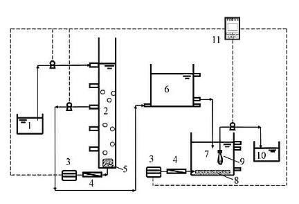 ��Ҏ��۠����̿���a�S�Һ����w������+Ĥ���ﷴ����̎������������ˮ�������γ�����Ⱦ��ȥ��Ч��