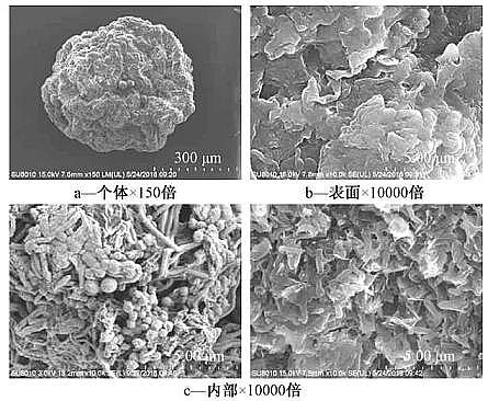 ��Ҏ��۠����̿���a�S�Һ����w������+Ĥ���ﷴ����̎������������ˮ�������γ�����Ⱦ��ȥ��Ч��