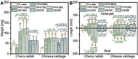 �h(hu��n)����ˮñ���a(ch��n)�S�ҷ����(q��)��(d��ng)���B͸̎���(y��)�r���_(k��i)�ɏUˮ�����ڹ��