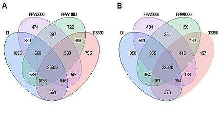 �h(hu��n)����ˮñ���a(ch��n)�S�ҷ����(q��)��(d��ng)���B͸̎���(y��)�r���_(k��i)�ɏUˮ�����ڹ��