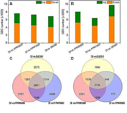 �h(hu��n)����ˮñ���a(ch��n)�S�ҷ����(q��)��(d��ng)���B͸̎���(y��)�r���_(k��i)�ɏUˮ�����ڹ��