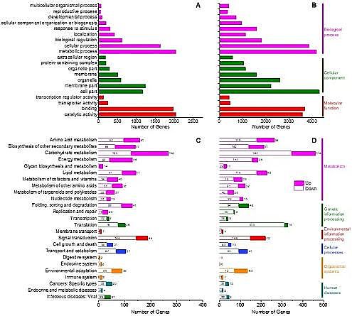 �h(hu��n)����ˮñ���a(ch��n)�S�ҷ����(q��)��(d��ng)���B͸̎���(y��)�r���_(k��i)�ɏUˮ�����ڹ��