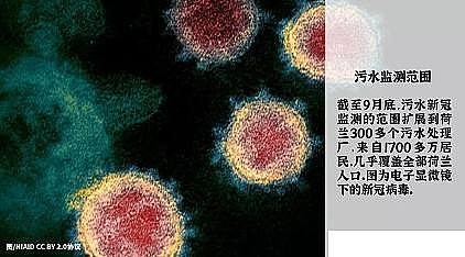 新型不銹鋼纖維束掛鉤生產(chǎn)廠家廢水也能追蹤新冠?答案可能就藏在污水處理廠中