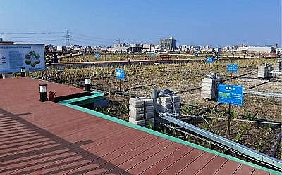 石英砂濾料4-8mm廠家國內(nèi)單體規(guī)模最大的高濃度廢水處理設(shè)施,驗收通過!