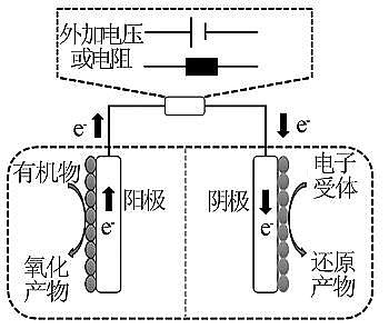 �๦�ܾۺ��Ȼ��XPAC�S���y����Uˮ����늻��Wϵ�y����̎�����о��Mչ