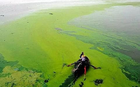 ����ˮ̎��ˎ���ͺ�̼Դ���a�S��ʲô��ˮ�w���I�B(y��ng)��?Σ������Щ?��η���?