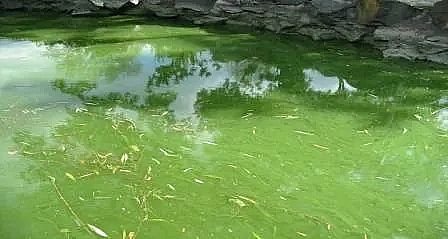 ����ˮ̎��ˎ���ͺ�̼Դ���a�S��ʲô��ˮ�w���I�B(y��ng)��?Σ������Щ?��η���?