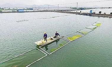 �¿�Aʽ�Ȼ��X�S���P(gu��n)��ˮ�a(ch��n)�B(y��ng)ֳ�I(y��)�Uˮ��̎��