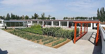 新式懸浮球生物填料廠家小村子的污水竟發(fā)揮出了“大功效”!