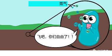 新式蜂窩斜管填料廠家污水廠的基本理論