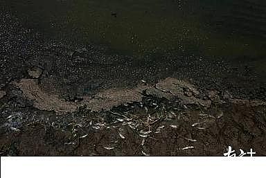 �¿�P��w�S�����^���a(ch��n)�S���|Ŀ�@�ģ�20�����r�������B(y��ng)ֳ��ˮֱ�Ŵ����y��׃�ڞ�!؟(z��)�����l?