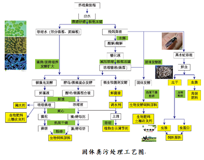 �������w�W���������a�S�ҡ����b��+���B���������s�Bֳ�cβˮ��Ч̎�����g