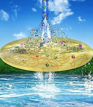 �h(hu��n)��ʯӢɰ�V��8-16mm�S����늻��Է��xĤ�I(l��ng)��ȡ��ϵ���о��M(j��n)չ