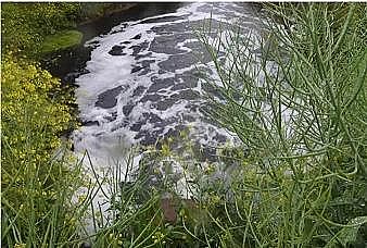 2021��Aʽ�Ȼ��X���a�S�ҡ��ն���̝����!��1���U�V������Ⱦ100�f��ˮ���L������������ˮ��������Ⱦ�����{������ƽ�