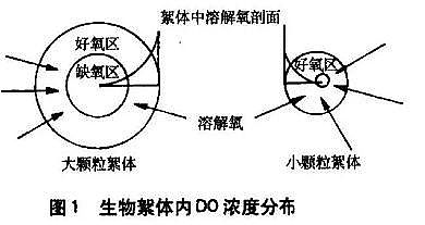 �h��ˮ̎��ˎ���ͺ�̼Դ�S����ˮ̎�����g֮�̳������������cͬ�������������ą^�e