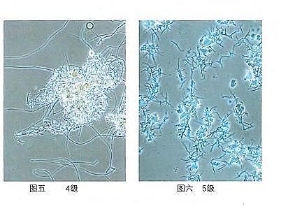 �h���۠����̿�S����ˮ�S����������Û�ļ��g����