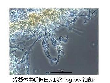 �h���۠����̿�S����ˮ�S����������Û�ļ��g����