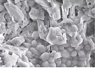 �h���۠����̿�S����ˮ�S����������Û�ļ��g����