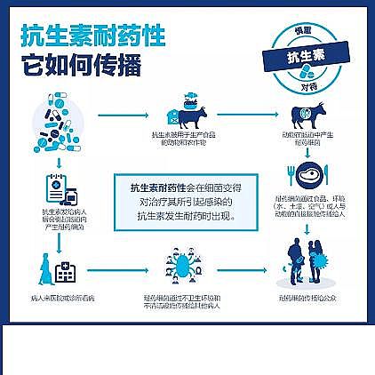 ���w��������Ƭ���a(ch��n)�S���¹����g�^���������ܕ����ٳ�����(x��)���Ă���