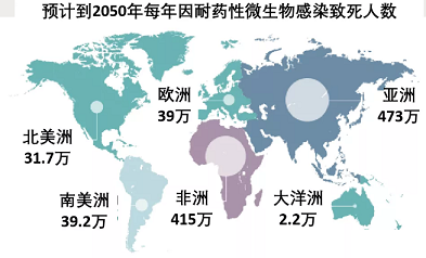 ���w��������Ƭ���a(ch��n)�S���¹����g�^���������ܕ����ٳ�����(x��)���Ă���