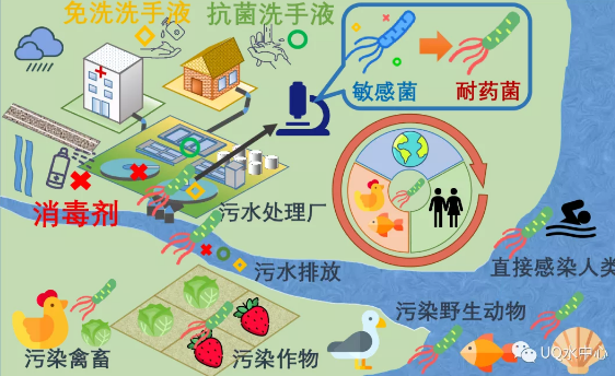 ���w��������Ƭ���a(ch��n)�S���¹����g�^���������ܕ����ٳ�����(x��)���Ă���