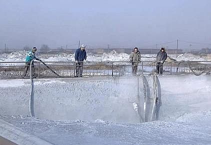 2021��Ҭ������̿���a(ch��n)�S�ҿ�Ͷ�Y1.19�|Ԫ��������˹�д�·�@�^(q��)һ���h(hu��n)���Ŀ����