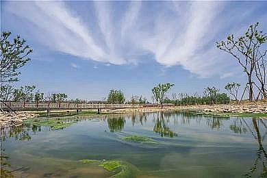 �¿�F����ۺ������FSPFS�S���㽭��W(xu��)���^���U���켈�ИI(y��)�Uˮ�YԴ�����ó��׼��g(sh��)�аl(f��)ȡ�����Mչ