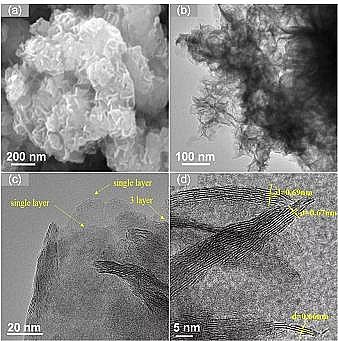 ��Ʒ��13X���ӺY���a�S�ҏV�|���I��WEnviron. Sci. Nano: MoS2�{�׻���늻�^һ�����}���Mˮ���ЙC��Ⱦ�ｵ��