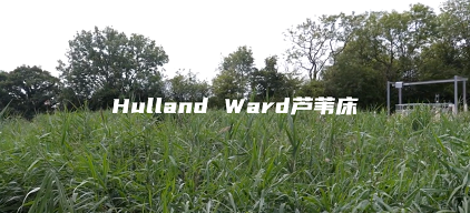 ���ƾۺ��Ȼ��X�FPAFC���a(ch��n)�S�Ҵ�����һ����ˮ�S�ą�����ˇ