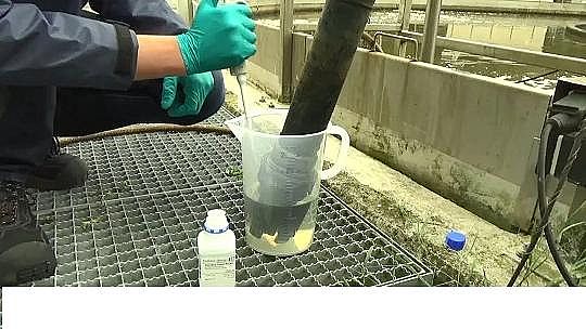 �๦�ܷ�Cб���������a(ch��n)�S�����������ˮ�S���Ԅ�(d��ng)����ϵ�y(t��ng)����