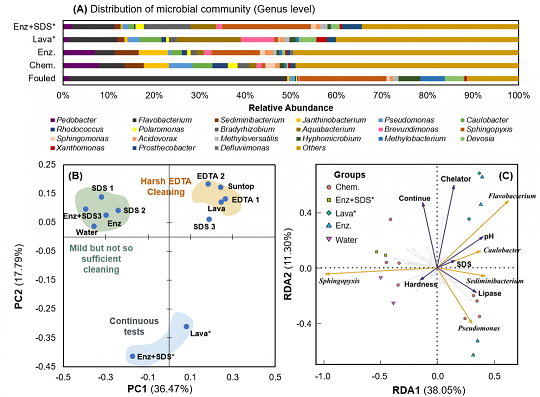 ���xľ�~ʯ�V�����a(ch��n)�S��øϴ�ɾ����ɶ������l(f��)�ķ��B͸Ĥ����(f��)��Ⱦ���}
