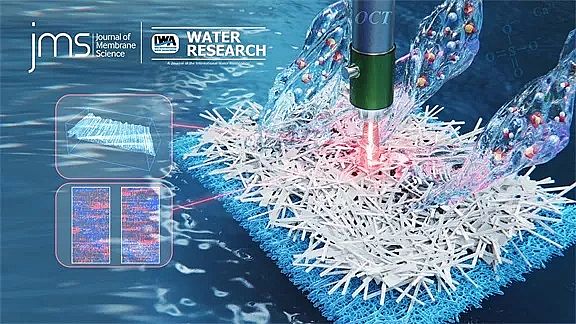 ��ʽϡ����ɰ�V�ϏS�Ұl��Ĥ���sϵ���о��ɹ�