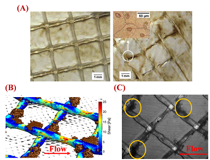 �h���o��ú�V�ϏS��ˮ̎���þ�ʽĤ�M���Mˮ���W�������c���܃���