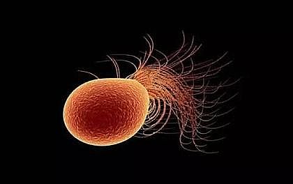 �๦�ܷ��_ϴ�Vñ���a�S��΢�����ڵ��D���е�����