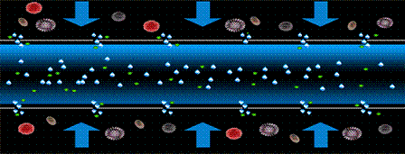 ��Ʒ�|��Cб�����ϏS������12̖�����̫��90�죬�@Щ�Uˮ̎�����g������̎!