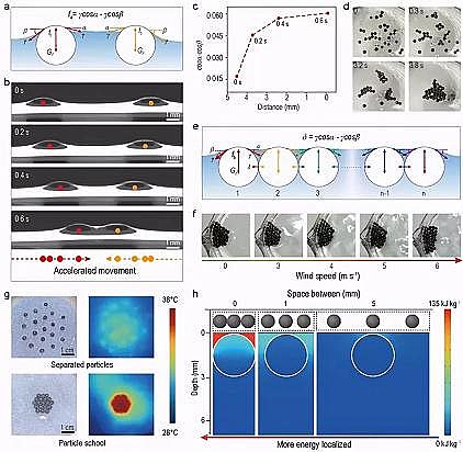 ���xú�|(zh��)�w������̿���a(ch��n)�S�����~ȺЧ��(y��ng)���l(f��)��̫�(y��ng)��ˮ�}���x����