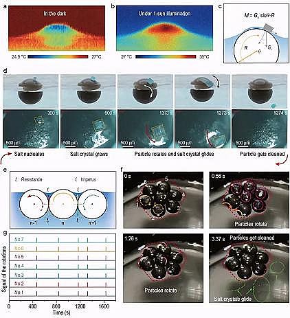 ���xú�|(zh��)�w������̿���a(ch��n)�S�����~ȺЧ��(y��ng)���l(f��)��̫�(y��ng)��ˮ�}���x����