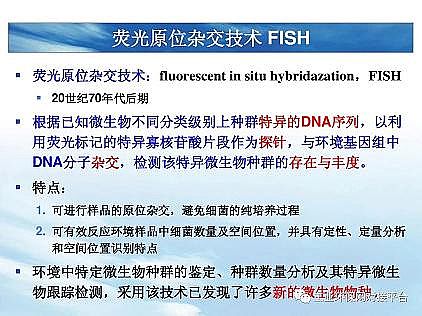 ���|�������͚��������a�S��һ���f͸������������ˇ