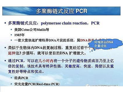 ���|�������͚��������a�S��һ���f͸������������ˇ