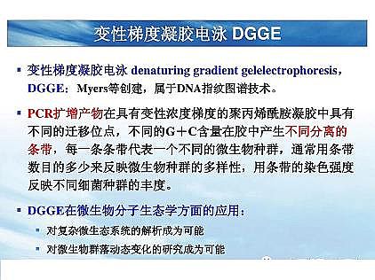 ���|�������͚��������a�S��һ���f͸������������ˇ